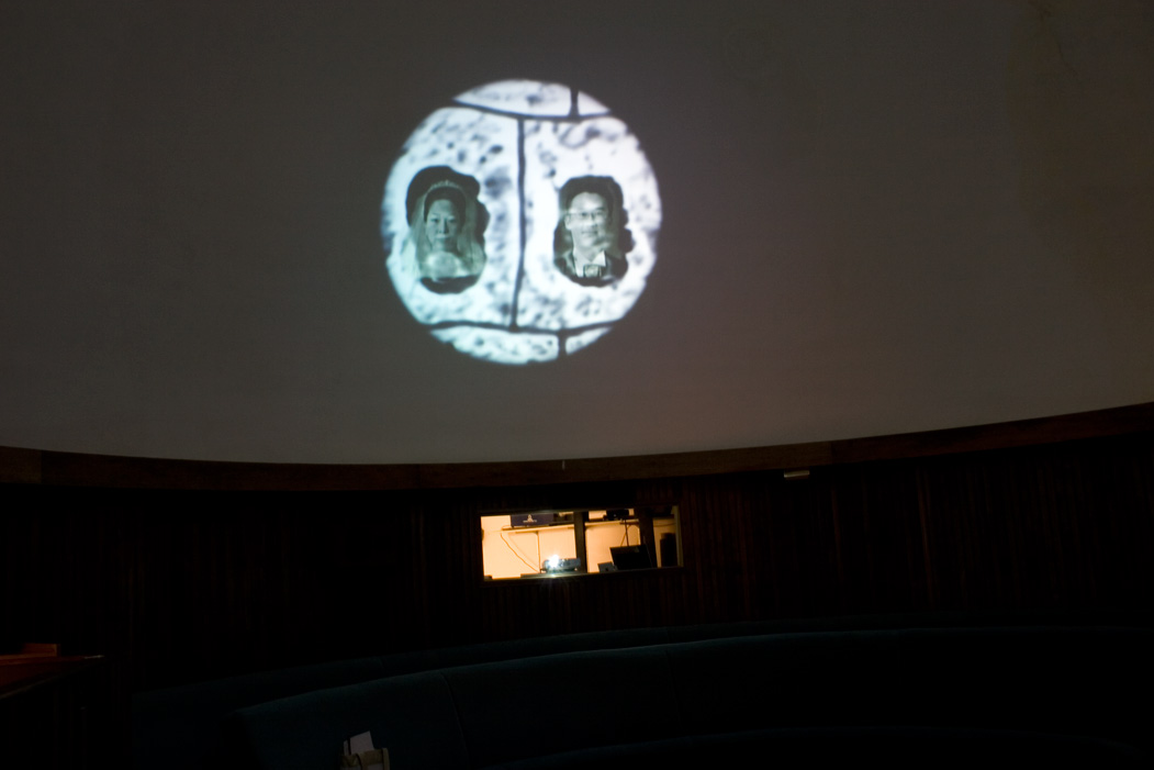 Cell installation view I