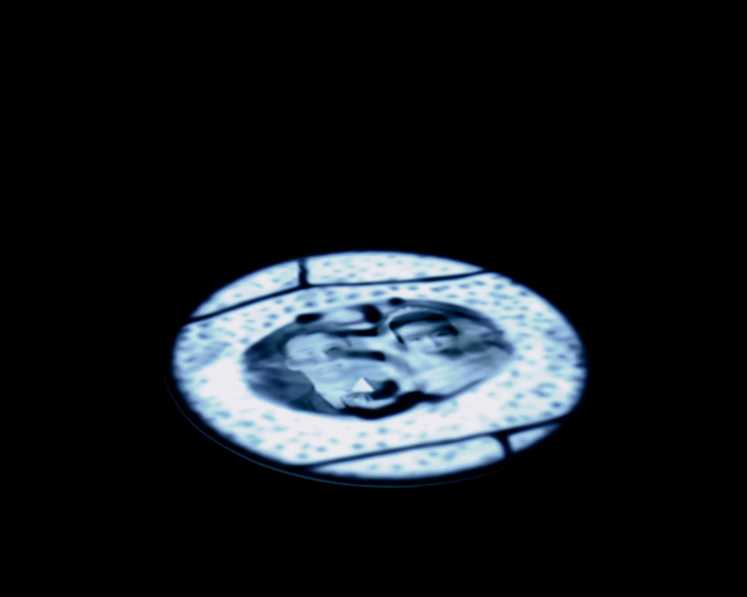 Cell projection view