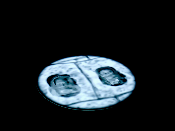 Cell projectino view