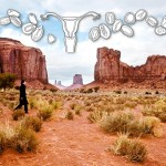 The Journey of Seeds Into the Sacred Monument Valley